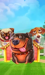 The Dog House